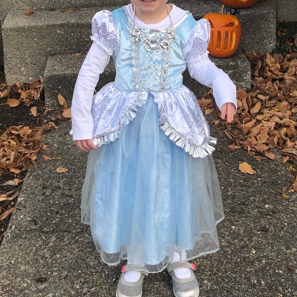 Princess Cinderella Halloween costume or dress up